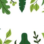 سبد خرید و پرداخت