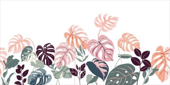 دانلود وکتور کاغذ دیواری آرت دکو جنگل های استوایی الگوی گل با گل ها و برگ های عجیب و غریب برگ شکافته فیلودندرون گیاه هیولا گیاه گیاه جنگل گیاهان خط هنر در تصویر وکتور پس زمینه مد روز