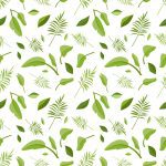 دانلود عکس پادوآ ایتالیا شهریور سپتامبر با فواره در