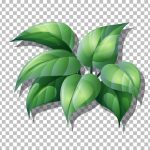 دانلود استیکرهای کارتونی اشیای ناز روزانه با دست طراحی شده