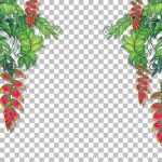 وکتور جمجمه گرافیک وکتور طرح تی شرت