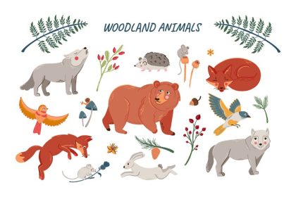 دانلود مجموعه وکتور حیوانات زیبای جنگلی برای حمام نوزاد و بچه ها