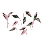 دانلود عکس بیت کوین ها طلا و نقره مسی هستند که در