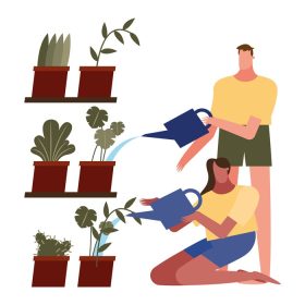 دانلود وکتور زن و مرد مراقبت از گیاهان