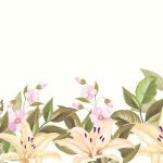 سبد خرید و پرداخت