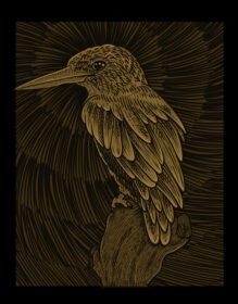 دانلود تصویر پرنده زیبای قدیمی با سبک حکاکی