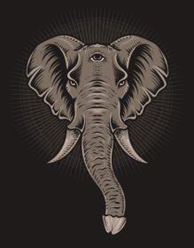 دانلود تصویر سر فیل قدیمی در پس زمینه مشکی
