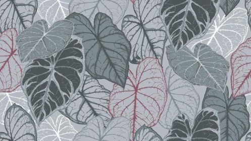 دانلود وکتور طرح الگوهای برگ بدون درز طرح‌های مختلف گیاهان استوایی روی پس‌زمینه خاکستری برای کاغذدیواری‌های سبک طبیعی، تصویر برداری از یک برگ رنگارنگ بانی زیبا