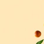 سبد خرید و پرداخت
