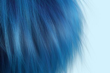 تصویر دانلود مدل موی نرم آبی پس زمینه سه بعدی موهای ملایم و نرم