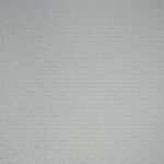 دانلود وکتور فضای سر جمجمه