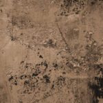 سبد خرید و پرداخت