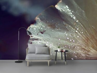 دانلود کاغذ دیواری طرح مینیمالیستی مدرن و زیبای قطره آب، برگ نیلوفر آبی پس زمینه تلویزیون