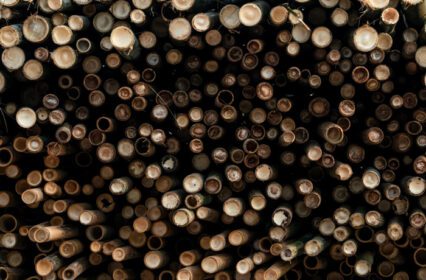 دانلود تصویر انبوهی از چوب بامبو پشته چوبی گرد دسته بزرگ