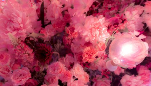 دانلود تصویر فوکوس انتخابی روی گل پلاستیکی صورتی و قرمز با لامپ