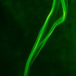 سبد خرید و پرداخت