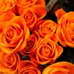 ویلچر آرم پاپ آرت پزشکی طرح رنگارنگ با تیره