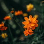 دانلود استانبول_003