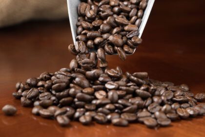 دانلود عکس یک عکس مفهومی آتلیه ای از ریختن دانه های قهوه در یک توده