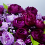 سبد خرید و پرداخت