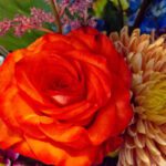 سبد خرید و پرداخت