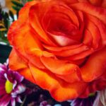 سبد خرید و پرداخت