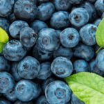 سبد خرید و پرداخت