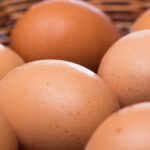 دانلود وکتور شخصیت ناز مکزیکی تاکو با احساسات شاد شاد