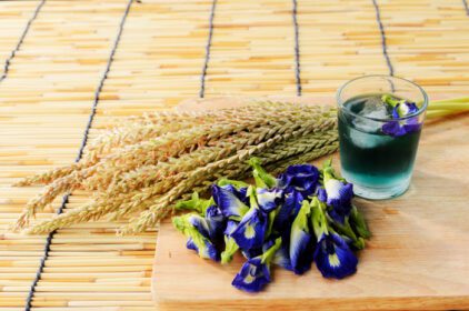 دانلود عکس نوشیدنی آبی با گل نخود پروانه ای گیاهی