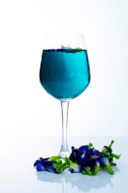 دانلود عکس نوشیدنی آبی با نخود پروانه ای گیاهی در پس زمینه سفید