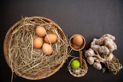 دانلود عکس غذای تخم مرغ که فواید بسیار خوبی برای تمام سنین دارد