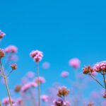 سبد خرید و پرداخت