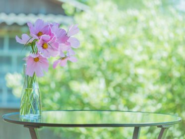 دانلود عکس گلدان زیبای تابستانی یا بهاری سبز پس زمینه آفتابی با