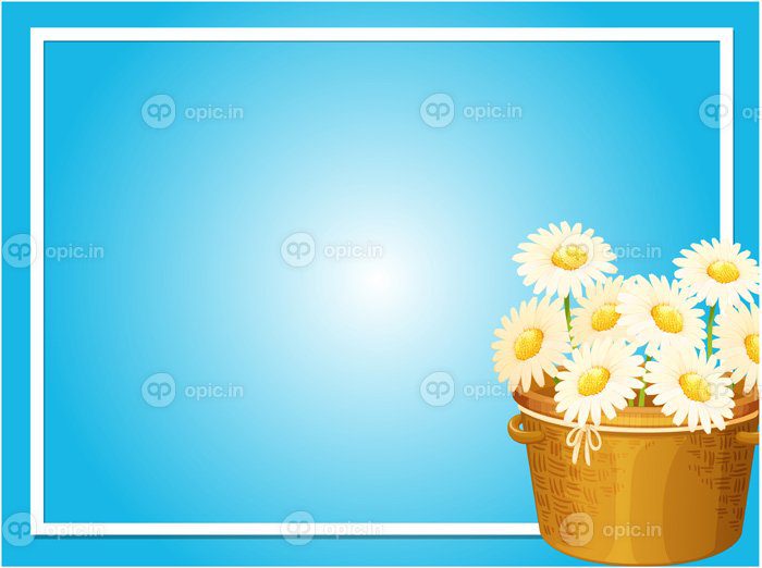 دانلود قالب حاشیه با گل های سفید در تصویر سبد