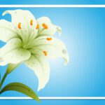 دانلود مجموعه وکتور کارت پستال حمام نوزاد با یک سگ ناز در فضا