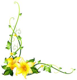 دانلود قالب حاشیه با تصویر گل های زرد