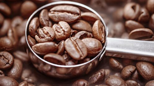 دانلود عکس نزدیک از دانه های قهوه معطر دانه های قهوه هستند
