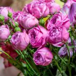 دانلود عکس نزدیک از طرح خرید آنلاین روی کارت اعتباری