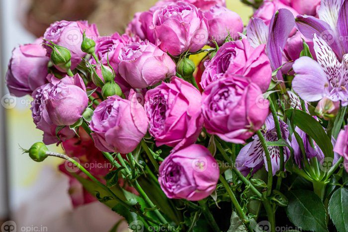 دانلود عکس دسته گل بنفش با غنچه