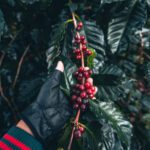 نقاشی کلاسیک Tor’s Fight With The Giants 1872