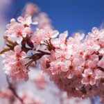وکتور لیوان و بطری پلاستیکی مچاله شده برای وکتور آب