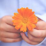 سبد خرید و پرداخت