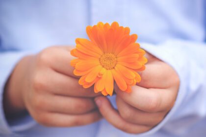 دانلود عکس دست های کودک با گل