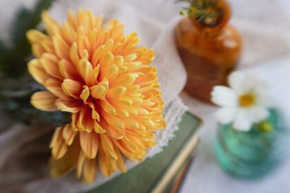 دانلود عکس نزدیک از گل های زرد و پارچه سفید به سبک وینتیج
