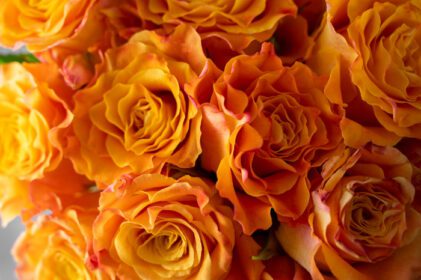 دانلود عکس از نزدیک دسته گل رز زرد نارنجی در گلدان شیشه ای