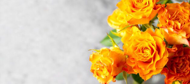 دانلود عکس از نزدیک دسته گل رز زرد نارنجی با فضای کپی