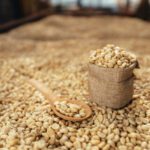 دانلود طرح کاغذ دیواری دست مدرن مینیمالیستی طراحی شده به سبک شمال اروپا سبک زیبا دیوار زمینه پس زمینه پر