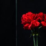دانلود عکس نماد درصد بزرگ نرخ سود سپرده و
