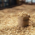 دانلود وکتور طرح پترن روسری انتزاعی برای مد حجاب روسری حجاب
