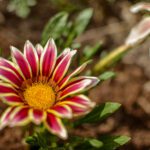 دانلود مجموعه آیکون بازی های فضایی آیکون های تخت